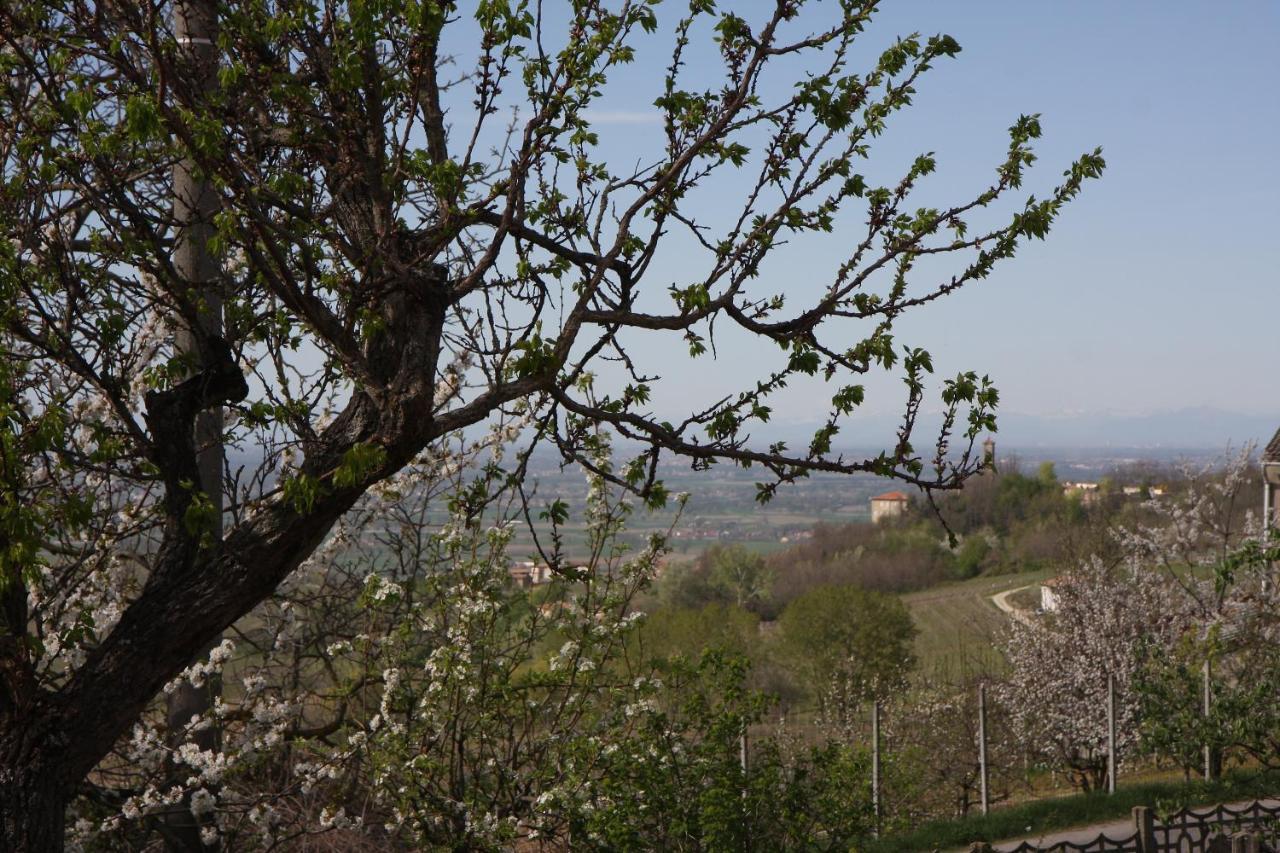 Gli Acini Pietra dei Giorgi Exterior foto